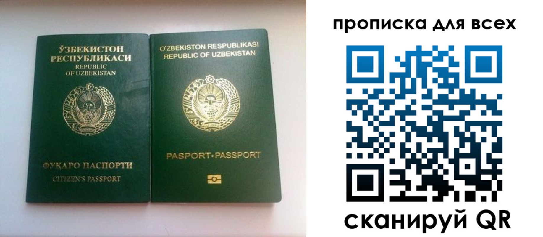 прописка для школы в Константиновске